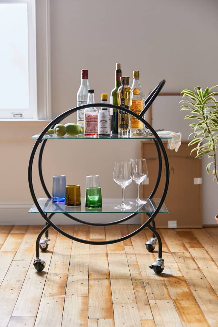 Here's How to Add the Right Plant to Your Bar Cart, According to a Plant Expert Apartment Therapy